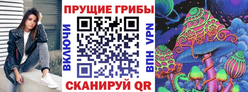 блэк спрут как войти  Прохладный  Галлюциногенные грибы Cubensis 